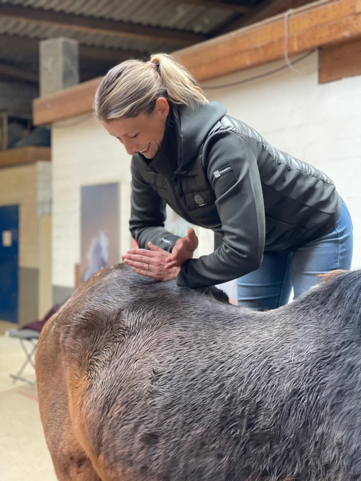 Chiropraktische Behandlung am Rücken eines Pferdes